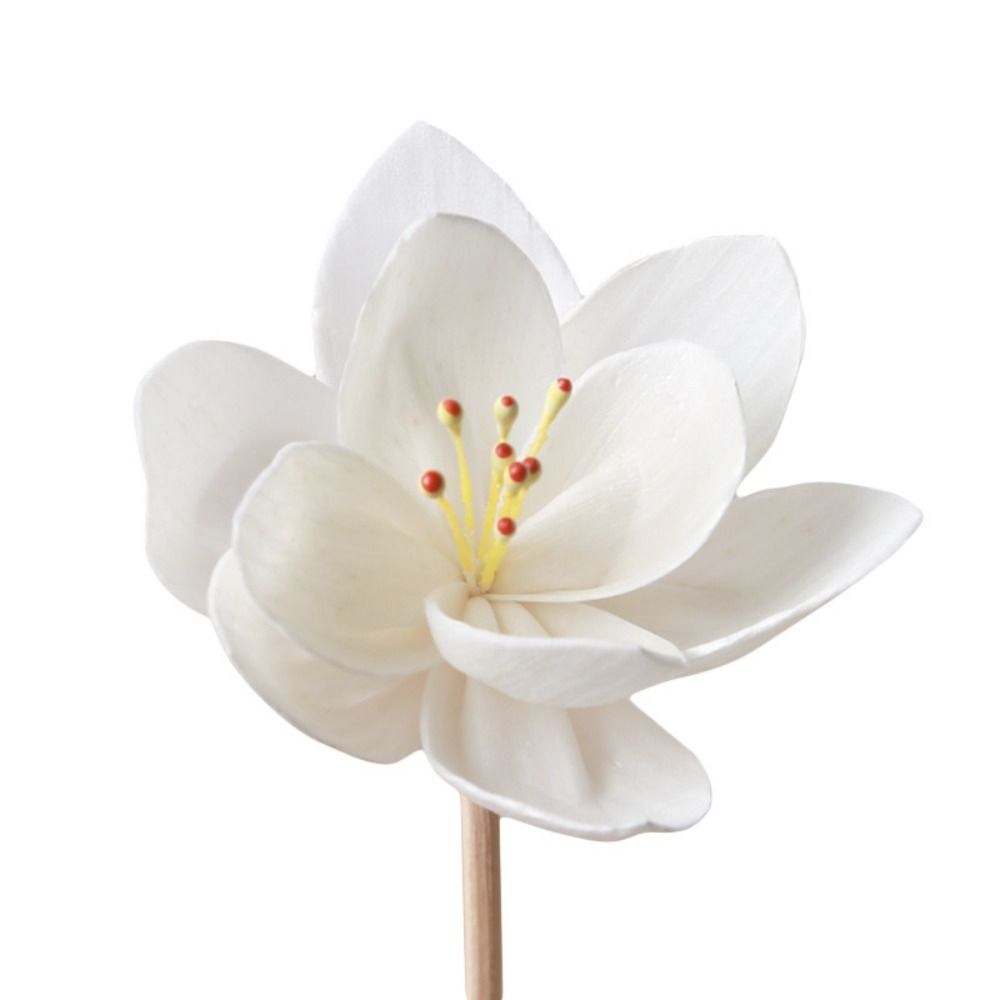 Home Fragrance Incense - Bastoncini Diffusori di Fragranza Creativi Fatti