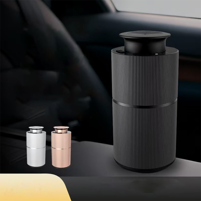 Home Fragrance Potpourri - Diffusore per Auto Smart con Corpo