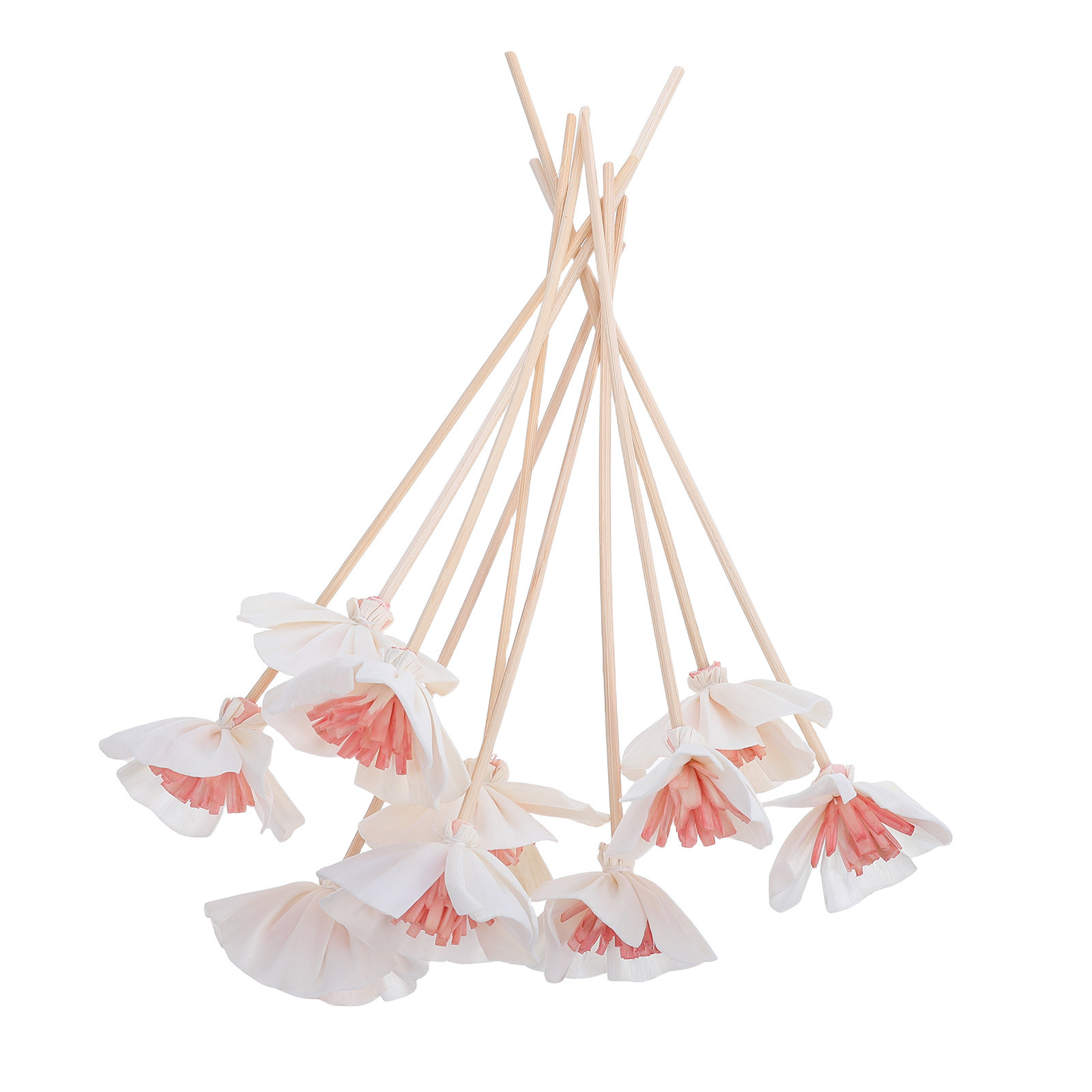 Home Fragrances - 10 Bastoncini Diffusori per Oli Essenziali