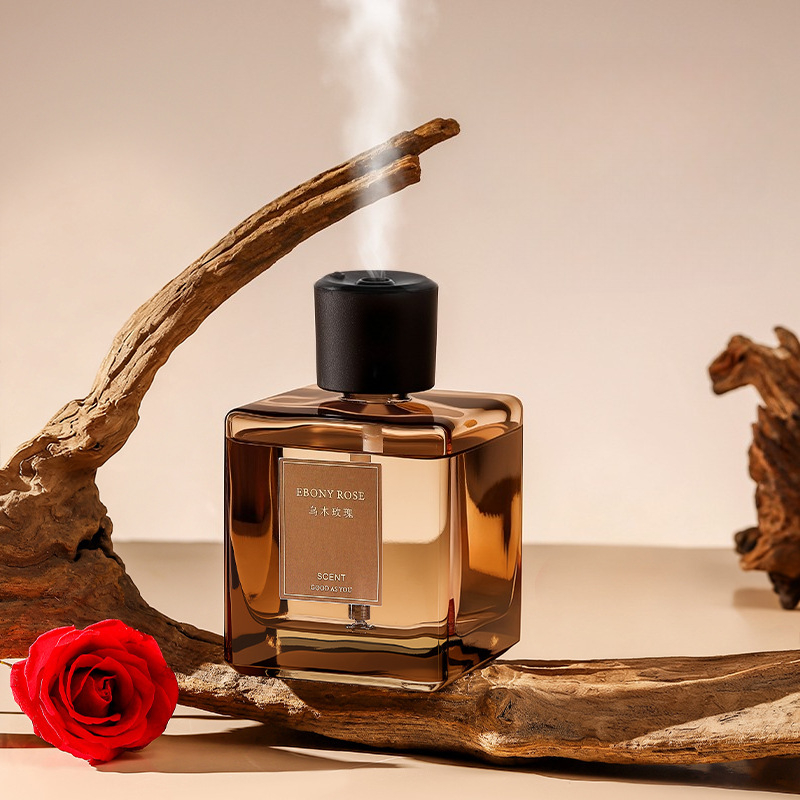 Diffusore di Aromi da 500ml, D - Home Fragrance Oud recensione e prezzo