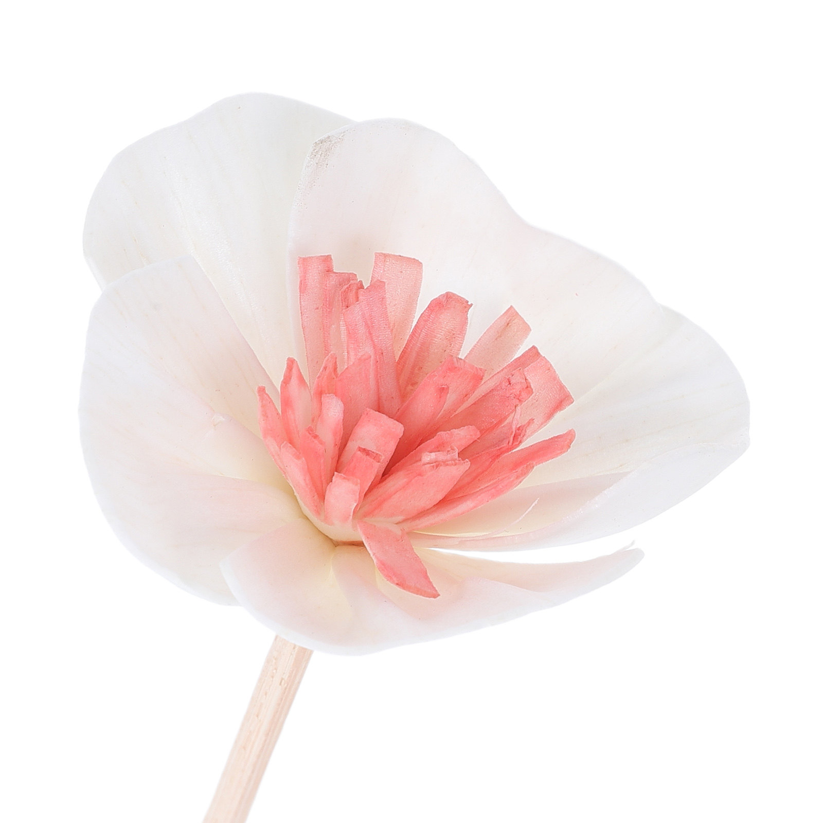 10 Bastoncini Diffusori per Ol - Home Fragrances recensione e prezzo