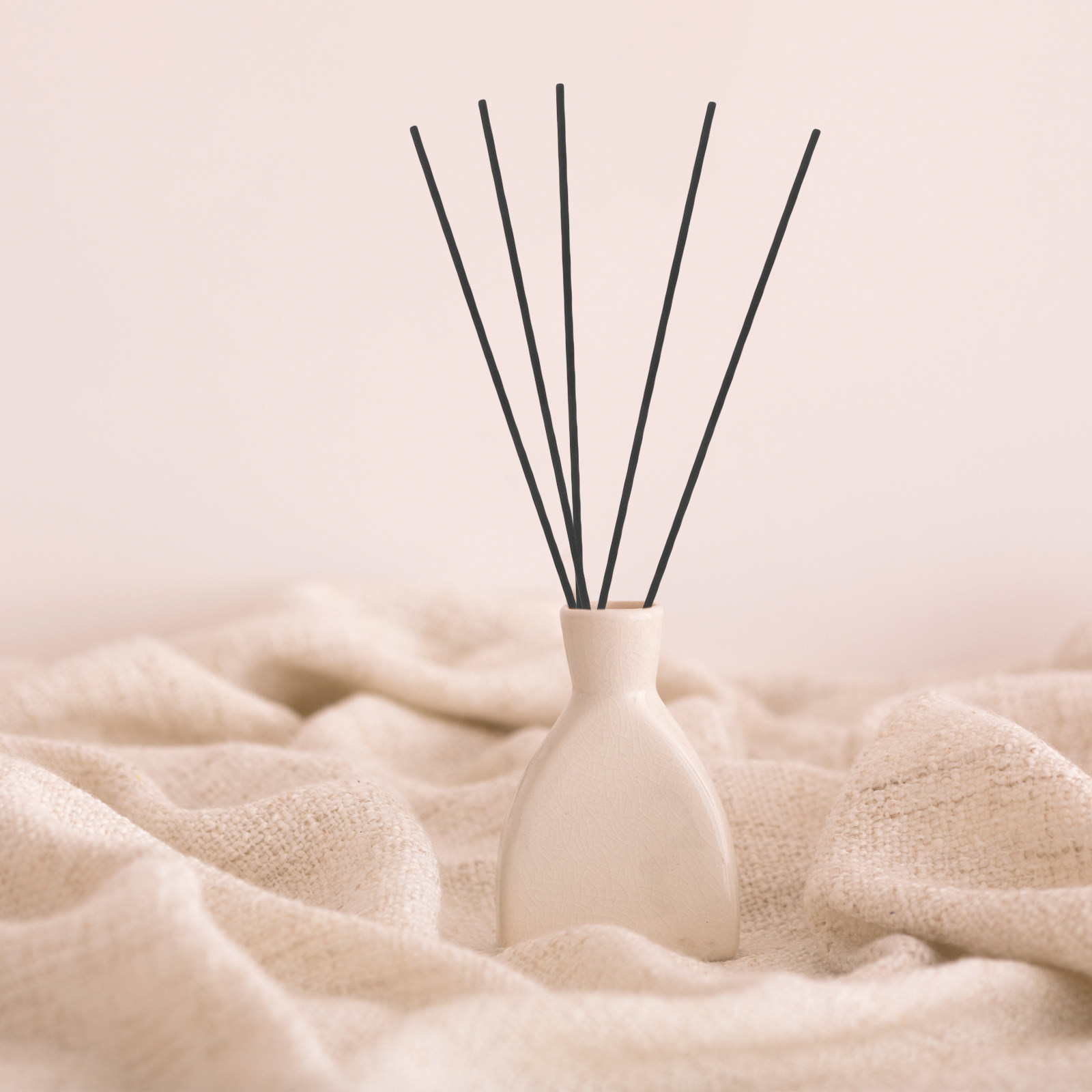 100 Pezzi Bastoncini Diffusori - Home Fragrances recensione e prezzo