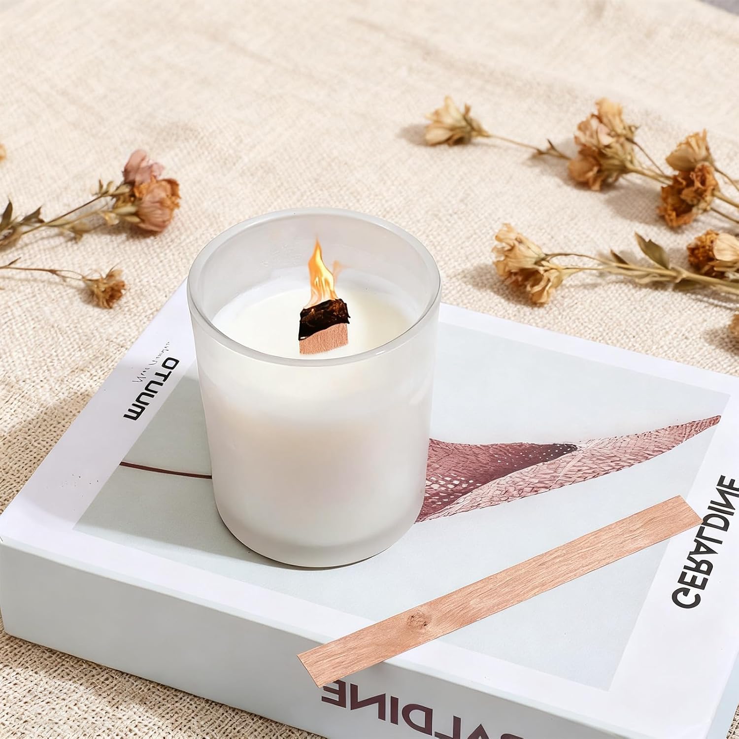 60 Stoppini in Legno per Cande - Wooden Wick Candle recensione e prezzo