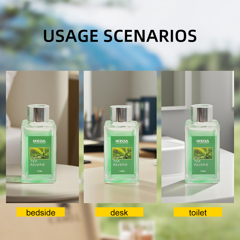 IKEDA Diffusore di ance di lus - Home Fragrance Luxury recensione e prezzo